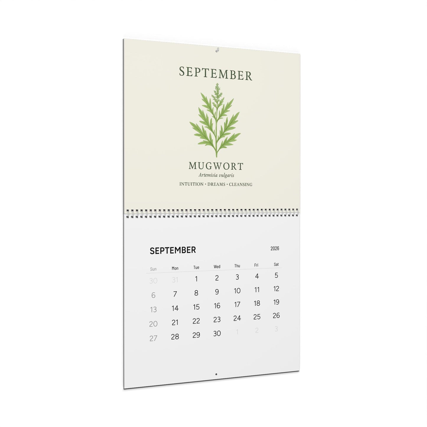 2026 Wall Calendar  | Monthly Botanical Apothecary Calendar