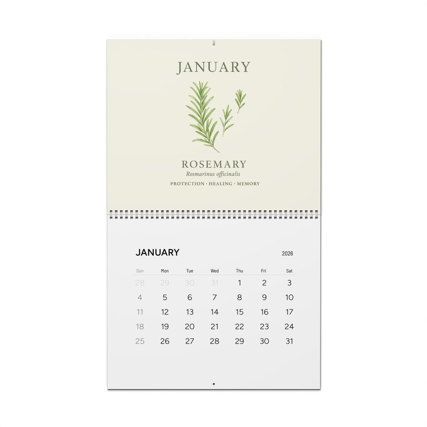 2026 Wall Calendar  | Monthly Botanical Apothecary Calendar