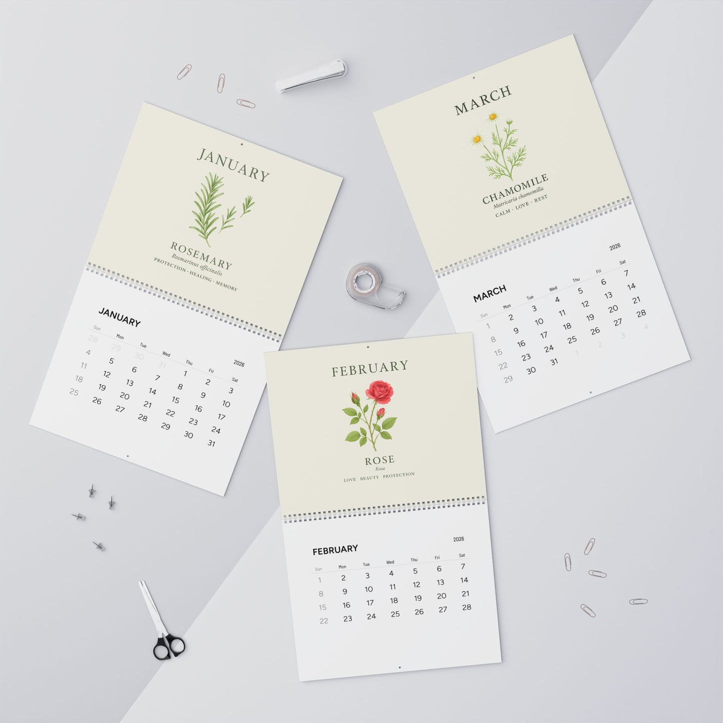 2026 Wall Calendar  | Monthly Botanical Apothecary Calendar